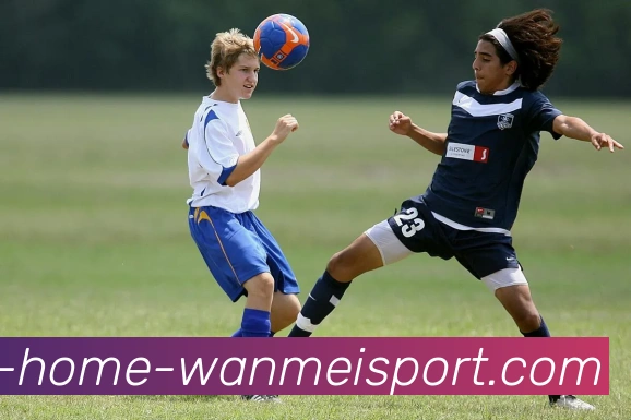 完美体育APP 体育赛事宣传图